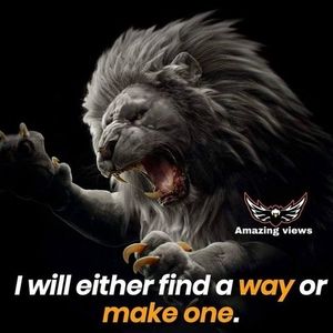 Meet your Posher, Buzzy